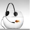 coaching-stimme-sprechen-telefon-1.jpg