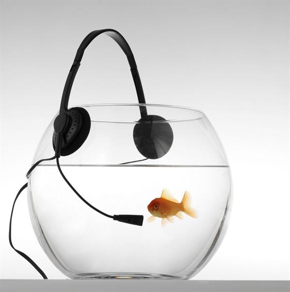 stimmtraining 29